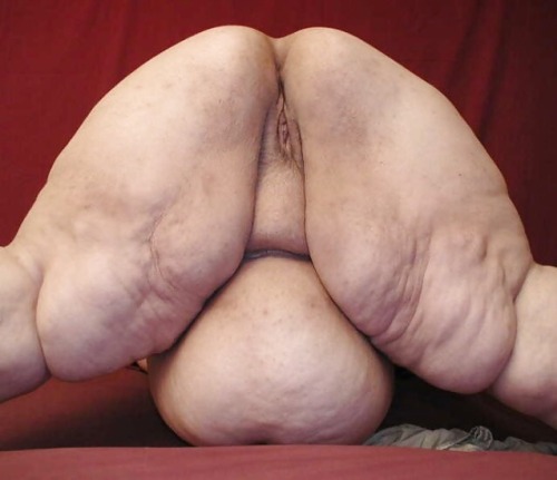 assdigga