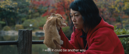 brand-upon-the-brain:Kumiko, the Treasure Hunter (David Zellner, 2014)goodbyes haunt me