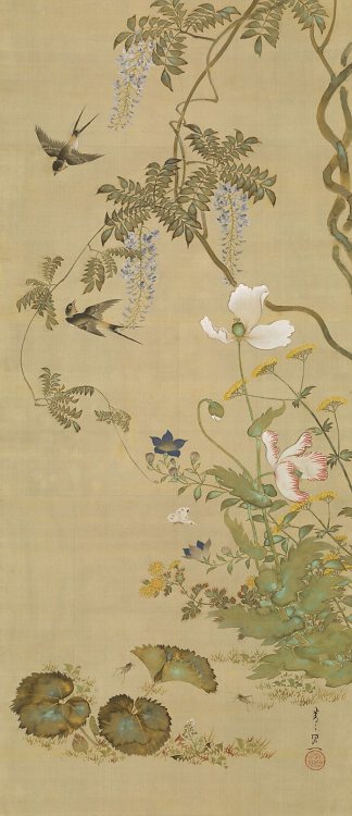 artemisdreaming:Birds and flowers, circa 1855Suzuki KIITSUJapan1796 - 1858Art Gallery of New South W