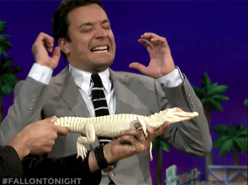 fallontonight:  Jeff Musial loves using animals to scare Jimmy in new ways…