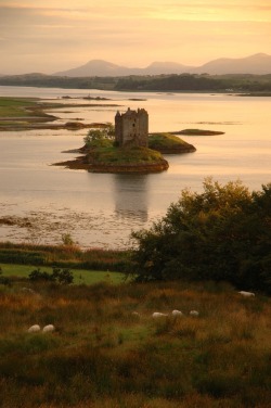 beliebereader: Stalker Castle, Scotland 