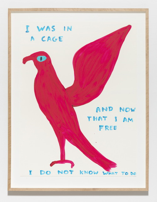 todrawistobehuman: David Shrigley