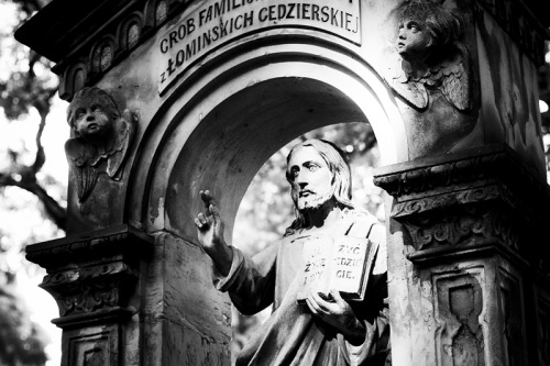 temporare:Powązki / Cmentarz Żydowski / Warszawa / Warsaw