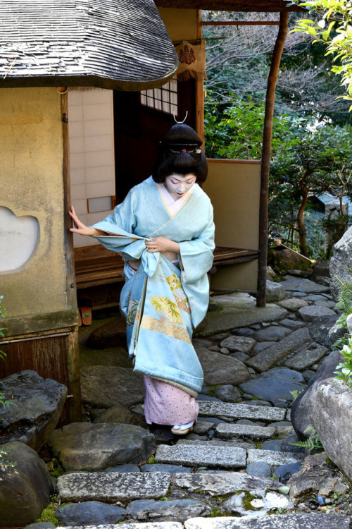 iesuuyr:Kyoto, Japan | kyotoflowertourism | 55maiko.net