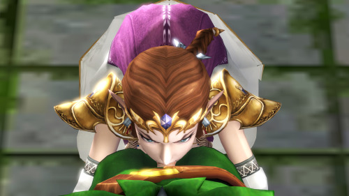 Porn cyrenaic13:  Princess Zelda to round out photos