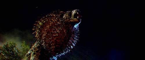 outtagum: Meet the creatures from ‘Fantastic Beasts and Where To Find Them’  Niffler -   mischievous, yet adorable creatures that   look like a cross between a mole and a duck-billed platypus  and like to steal shiny things. The animals have a magical