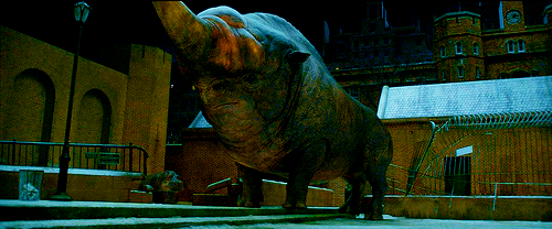 outtagum: Meet the creatures from ‘Fantastic Beasts and Where To Find Them’  Niffler -   mischievous, yet adorable creatures that   look like a cross between a mole and a duck-billed platypus  and like to steal shiny things. The animals have a magical