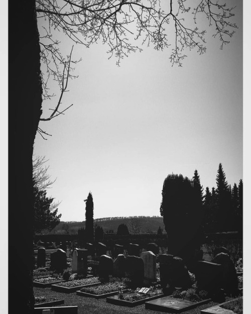 “The richest person in the cemetery is the one who left the most happy memories.”