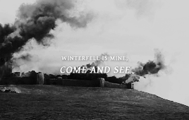 starkandsnow:  a monster has taken our home and our brother