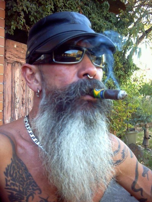 StelviObeaR