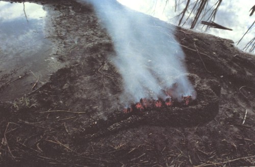 neshamama:ana mendieta (various)