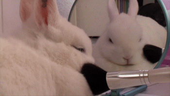 hardwolfmeat:  crayonguy:  Bunny master post  @little-bunny-sweetseek 