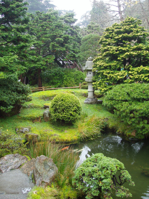 quiet-nymph:  Photography  by kgsix on Flickr 