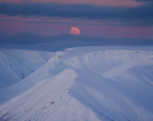 expressions-of-nature:by Vitaly Istomin