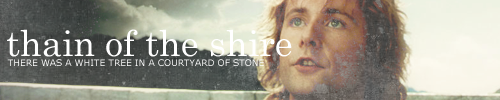 ifyoudontlovelotryourewrong:  The Fellowship of the Ring 