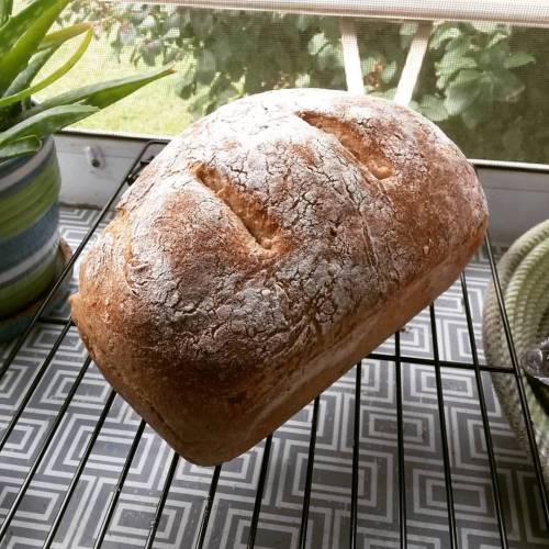 Homemade bread from scratch I’m on a roll! #vegan #vegansofig #whatveganseat #veganfood #veget