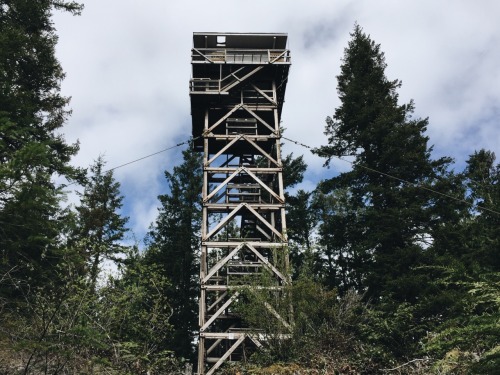 Hiking at the Heybrook Lookout trail was painfully rewarding. It’s deceptively a short hike li