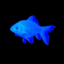 weirdestfishes