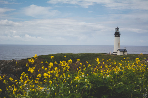 rachellaurenimagery:Yaquina Head Lighthouse • Oregon