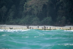 sixpenceee:  The Sentinelese Tribe An indigenous