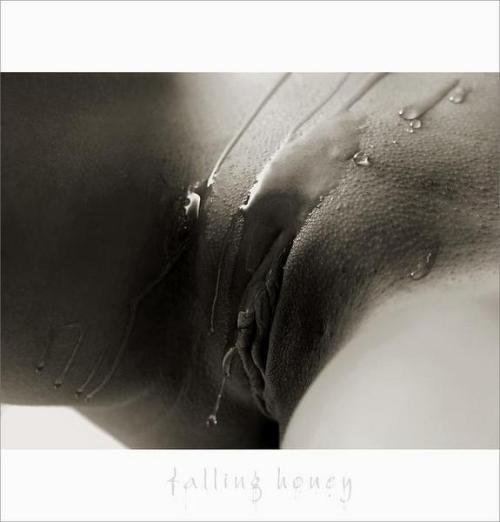juliaonly72:   Over 25,000 photos. http://juliaonly72.tumblr.com 