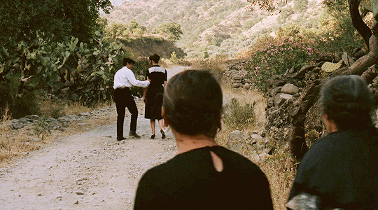 cinemagal: THE GODFATHER (1972)Dir. Francis Ford Coppola