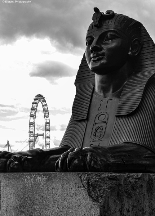 Photo: Sphinx at Cleopatra’s Needle in LondonDate Taken: 4th July 2021