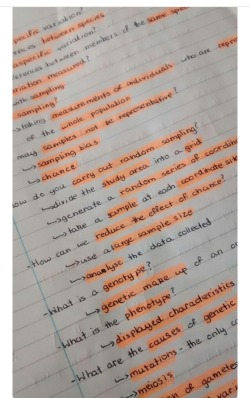 whysperforsugar:  santa-ismysugardaddy:  Her handwriting is so sexy  Why can’t I have nice handwriting 😞😞😞  Love some good handwriting examples.