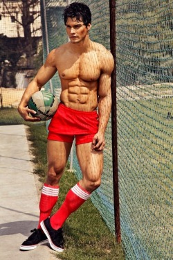 rugbysocklad:  How FIT?!? 