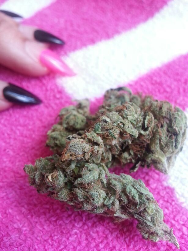 reeferkitten:  sour d. 