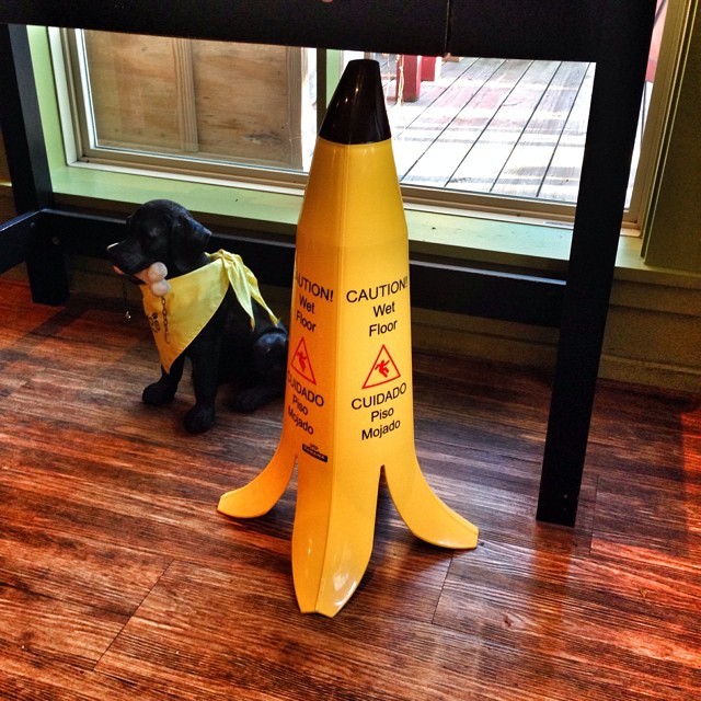 stunningpicture:  This is without question the smartest “wet floor” cone design