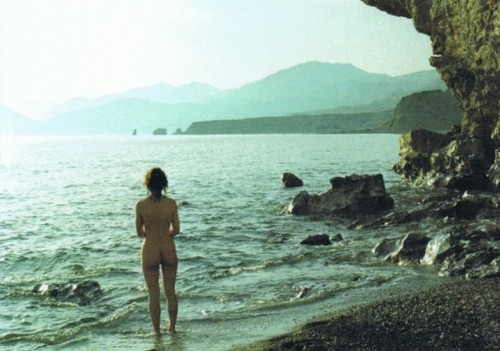 A.Swan