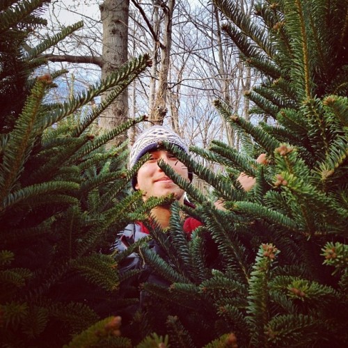 instagram:  Hunting for the Perfect Christmas Tree    Want to see photos and videos of amazing Christmas trees from around the world? Be sure to visit the Parque Lagoa Rodrigo de Freitas, Trafalgar Square, Vilnius,  Hansaplatz and 30 Rockefeller Plaza