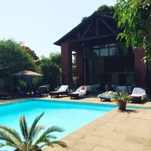 I’m staying at the lovely #Hibiscushouse hotel in #thegambia . It’s not on a tourist strip - being i