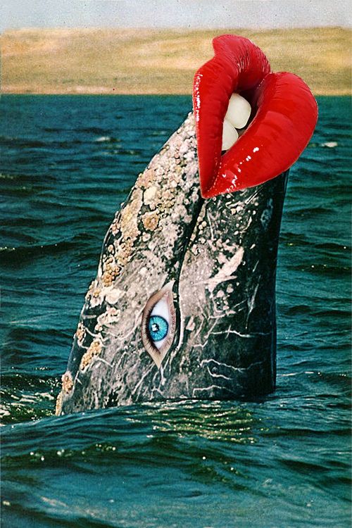 rumforall: everythingstarstuff: Eugenia Loli rumforall.tumblr.com/