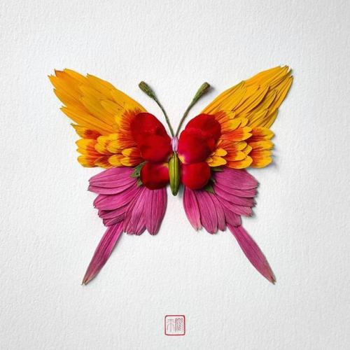 pr1nceshawn:Natura Insects – The delicate floral compositions by Raku Inoue.