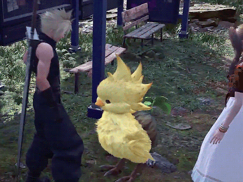 Just Two Baby Chocobos 🐣💛 Edit: More Baby Chocobos!!