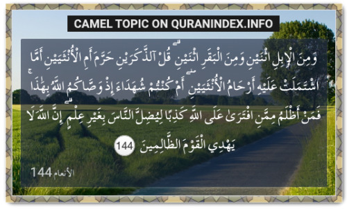 Discover Quran Verses about #Camel @ quranindex.info/search/camel [6:144] #Quran #Islam