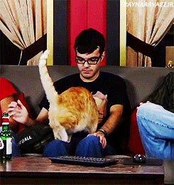 :  ↳ ray + joe the cat 