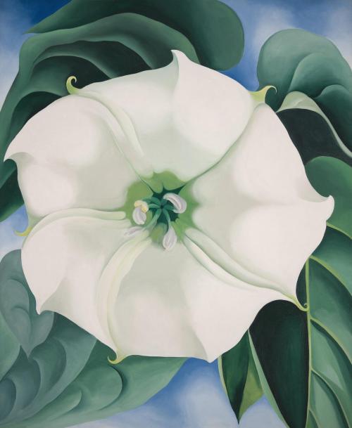  The Real Meaning of Georgia O’Keeffe’s Flowers Georgia O’Keeffe knew flowers better than most. In t