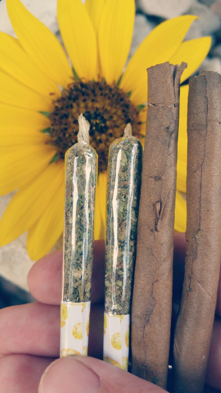 Inhale the good shit, exhale the bullshit.
