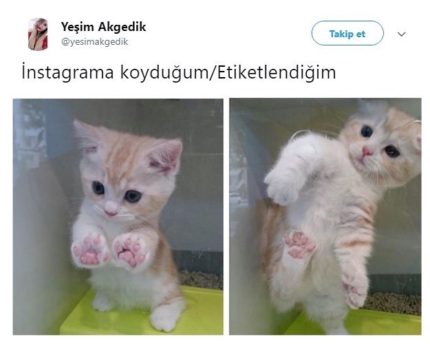 Yeşim...