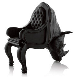 brookempierce:  designcloud:  Chairs by Maximo Riera Maximo Riera creates an homage to the artistic beauty and anatomical complexities of the animal kingdom.  (via TumbleOn) 