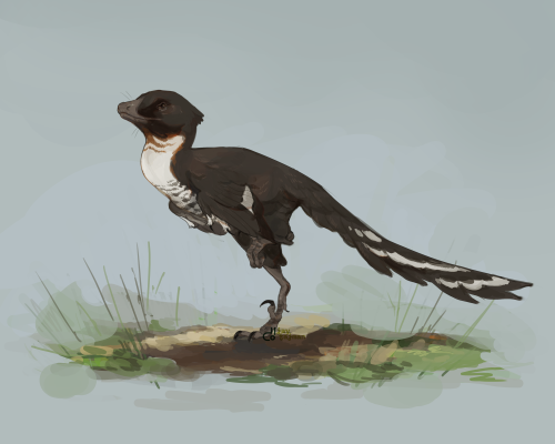 fajmanjay:Daurlong! I really like this little man, quite a cute critter, and you gotta love that head on the little guyI’m still waiting for a day when I can easily draw theropod heads :”0 close-ups under cut Keep reading