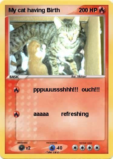 The new pokemon cards