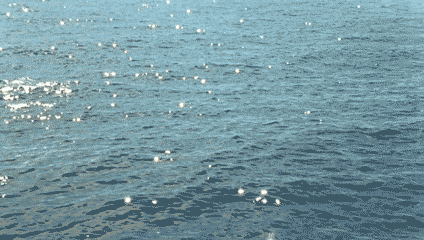 Water Aesthetics