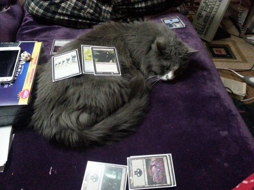 What&rsquo;s this? Trying to play Magic? Let me lay exactly between you so you have to put your 