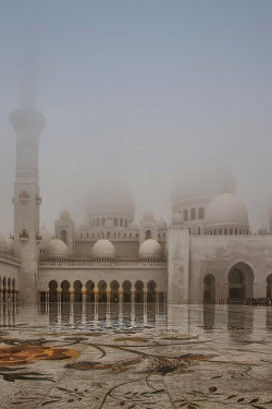 italian-luxury:A veil of fog by Jimbos Padros