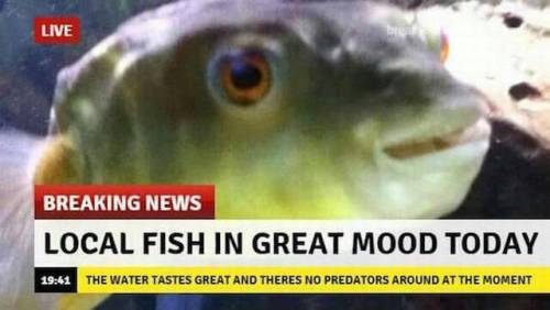 mudwerks: fuckin fish with his positive vibes