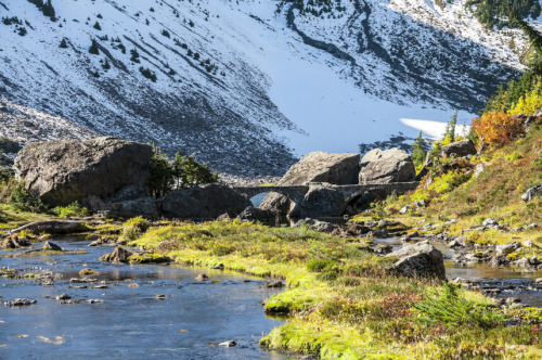 Photography by Visioni ItalianeLocation: The area around Mt. Baker Ski Resort, WA, USA If you e